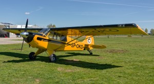 Aviat A-1A Husky